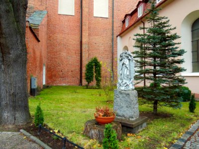 Oliwa Cathedral 8