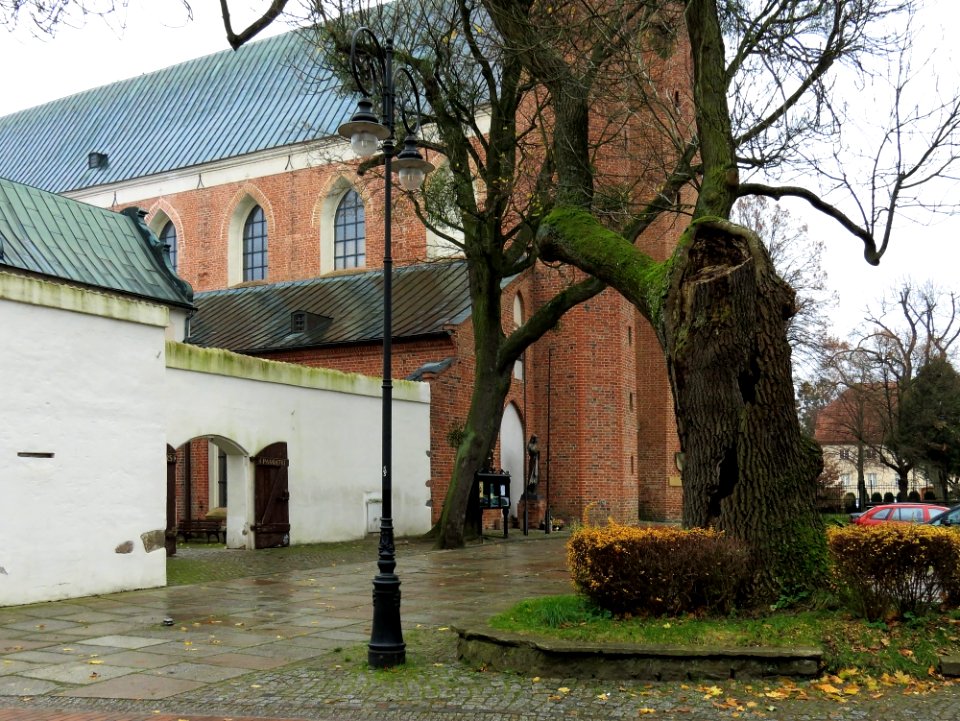 Oliwa Cathedral 2
