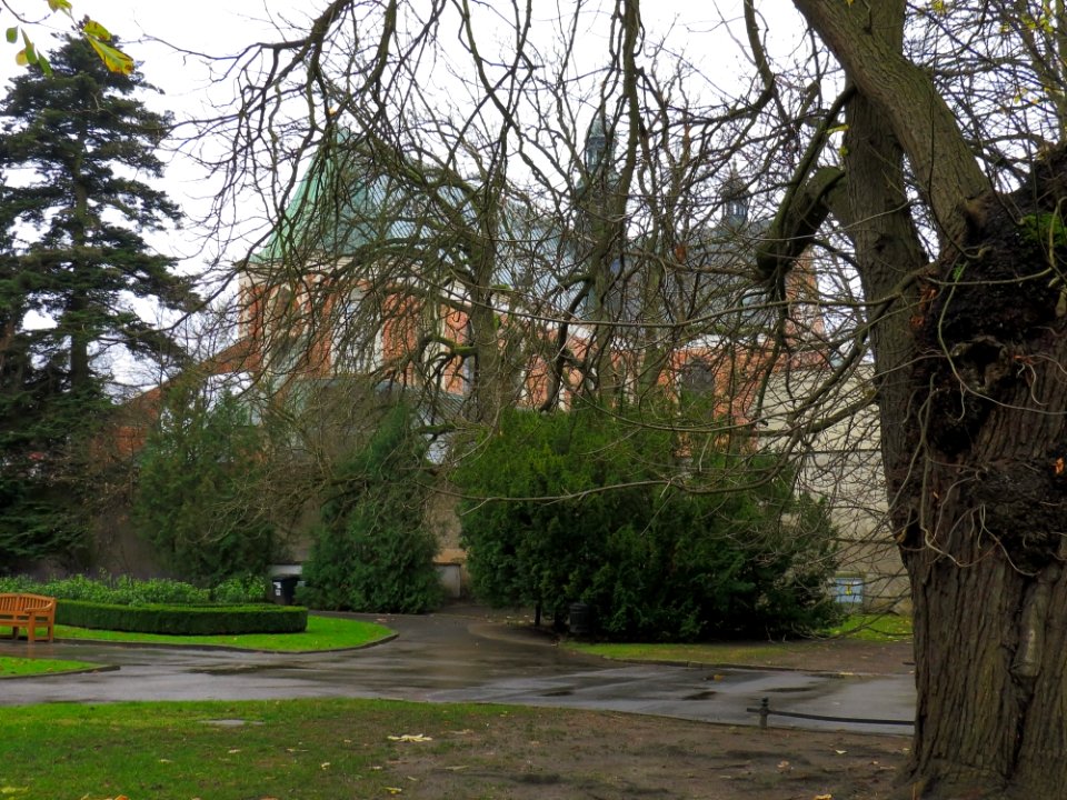 Oliwa Cathedral 1