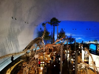 Fukui Prefectural Dinosaur Museum 20210504 36