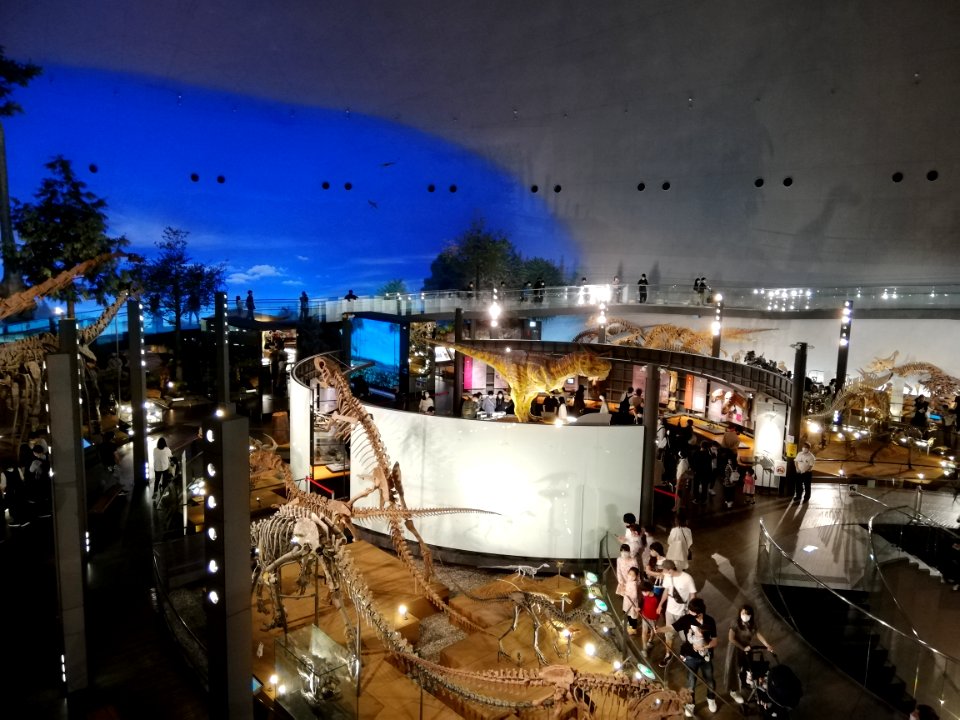 Fukui Prefectural Dinosaur Museum 20210504 37