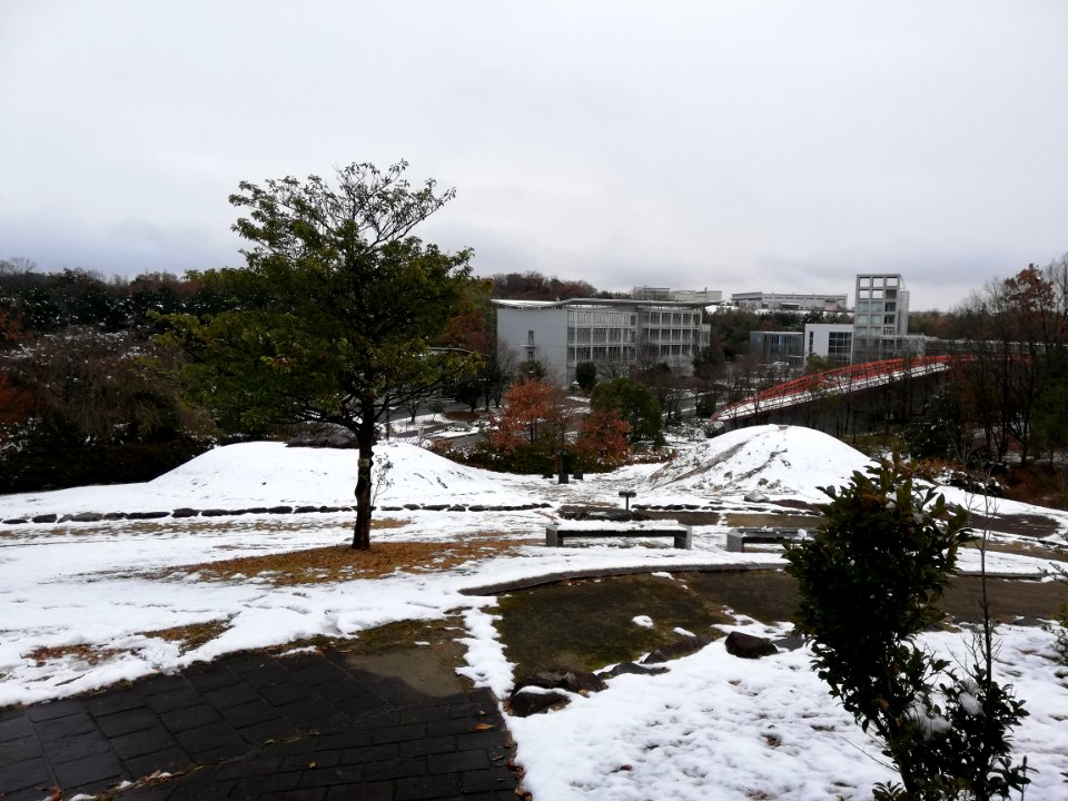 Funayama Kita Kofun Group 20210101 02