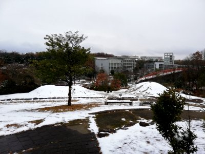 Funayama Kita Kofun Group 20210101 02