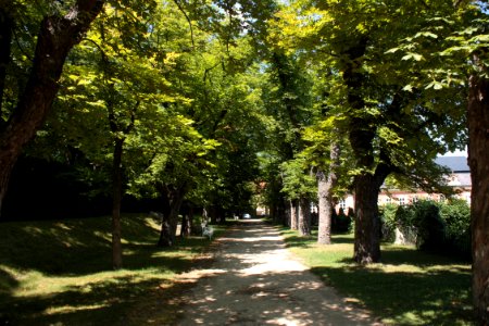 French garden (Dobříš) 1683