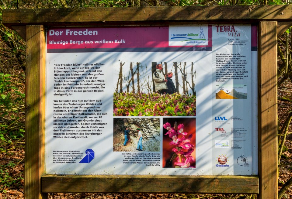 Freeden 09