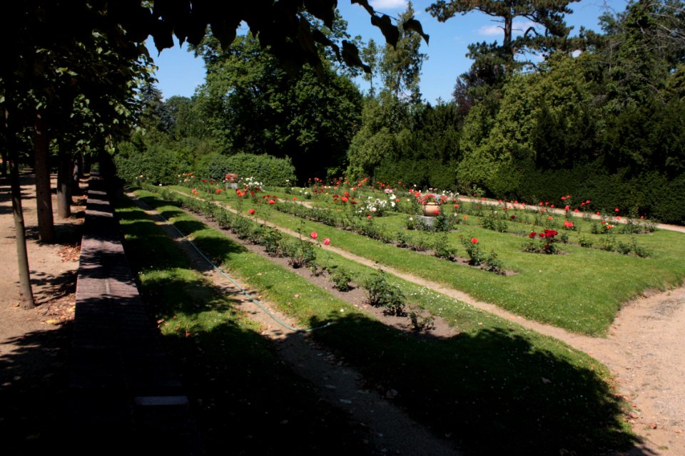 French garden (Dobříš) 1789