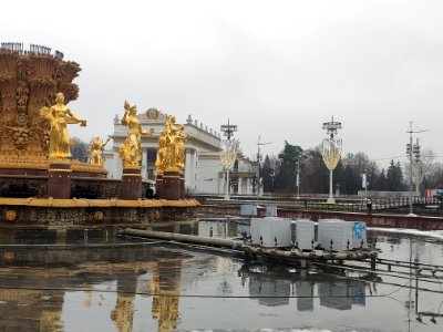 Friendship of Nations in November