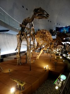 Fukui Prefectural Dinosaur Museum 20210504 15