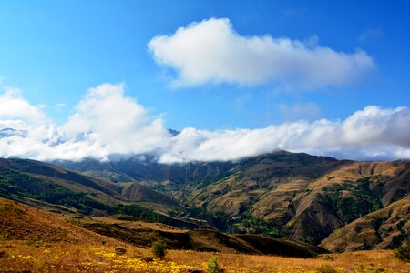 Landscapes nature sky grass