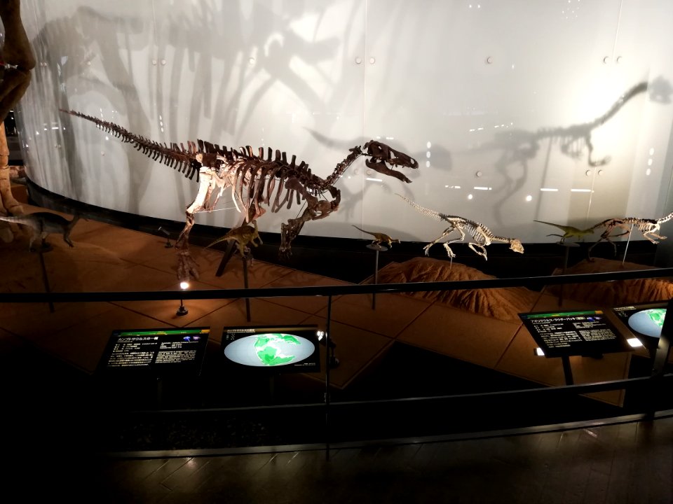 Fukui Prefectural Dinosaur Museum 20210504 16