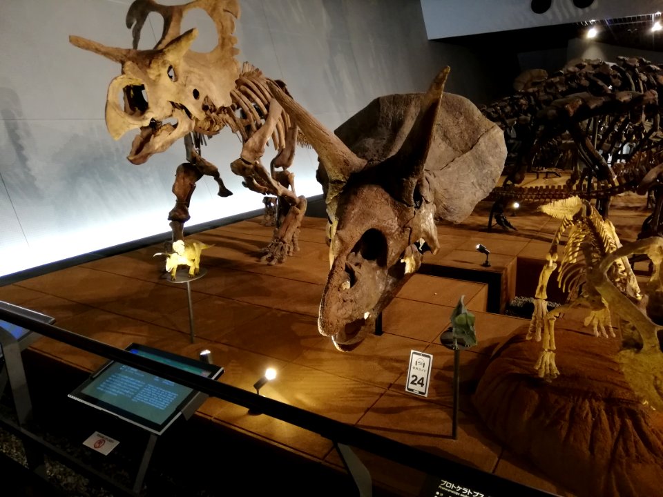 Fukui Prefectural Dinosaur Museum 20210504 18