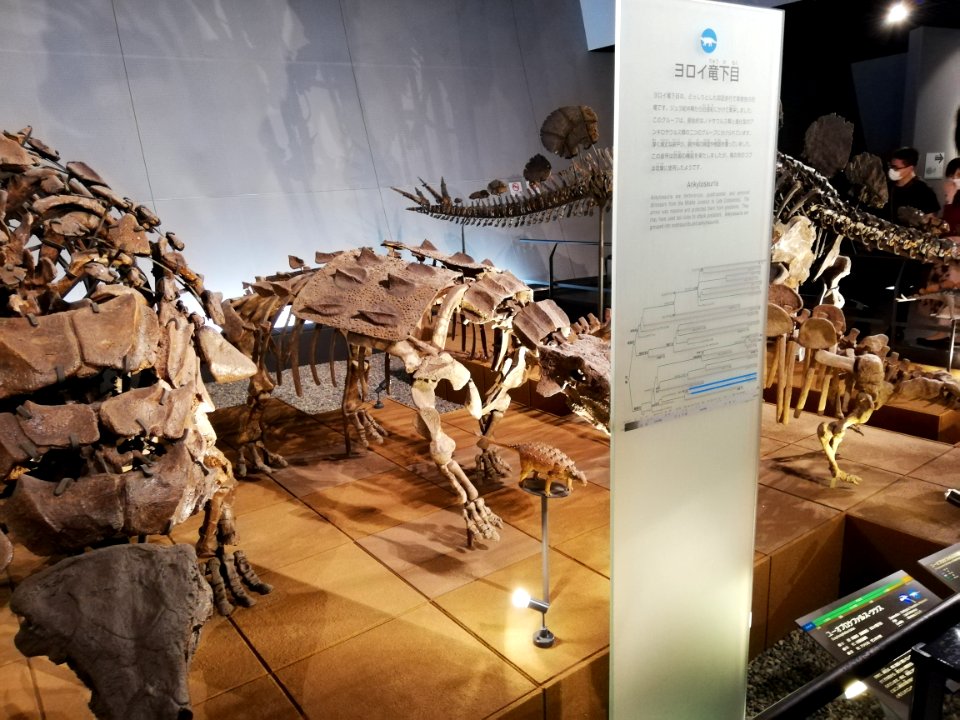 Fukui Prefectural Dinosaur Museum 20210504 21