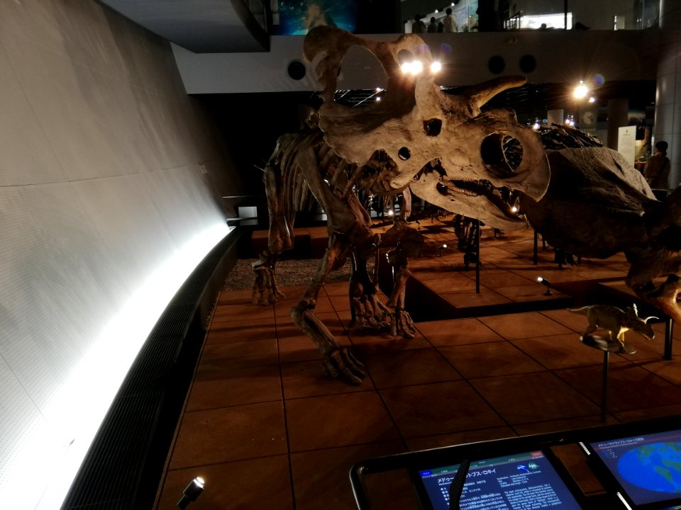 Fukui Prefectural Dinosaur Museum 20210504 19