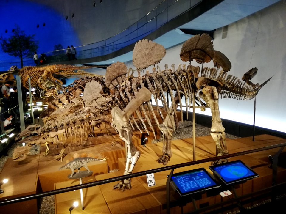 Fukui Prefectural Dinosaur Museum 20210504 22