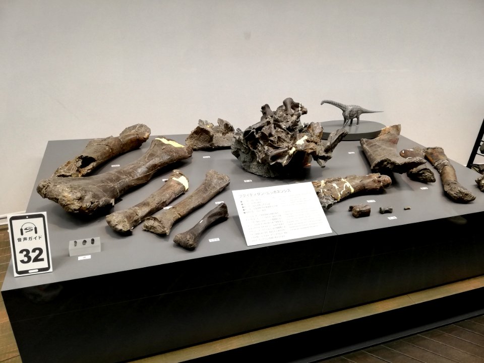 Fukui Prefectural Dinosaur Museum 20210504 24