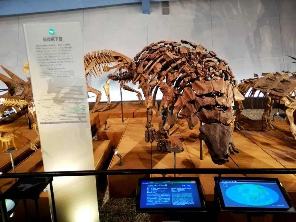 Fukui Prefectural Dinosaur Museum 20210504 20