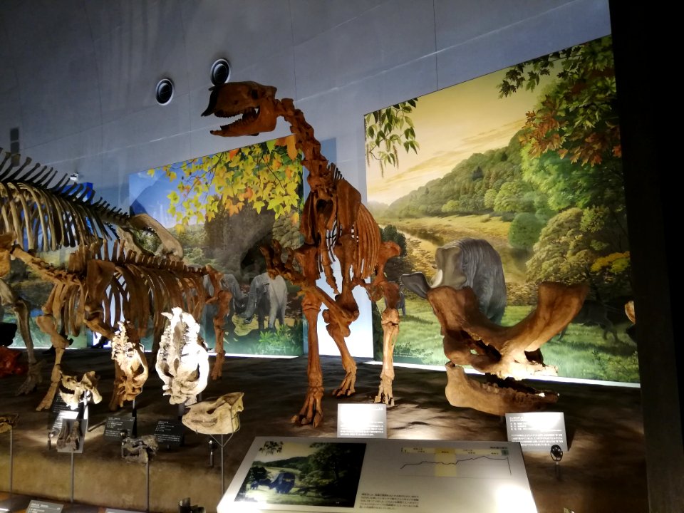 Fukui Prefectural Dinosaur Museum 20210504 35