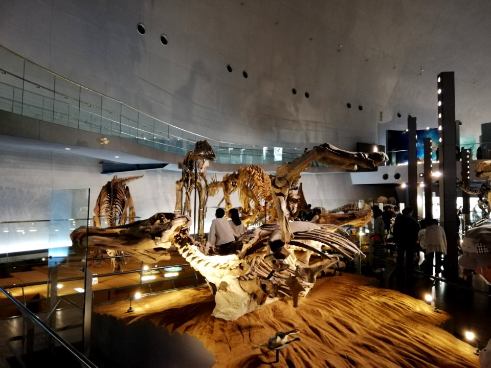 Fukui Prefectural Dinosaur Museum 20210504 13