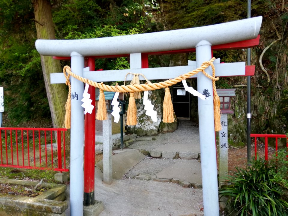 Fujigasaki Dragon Shrine Naikū 20210407 05