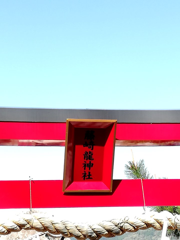 Fujigasaki Dragon Shrine Gekū 20210407 03