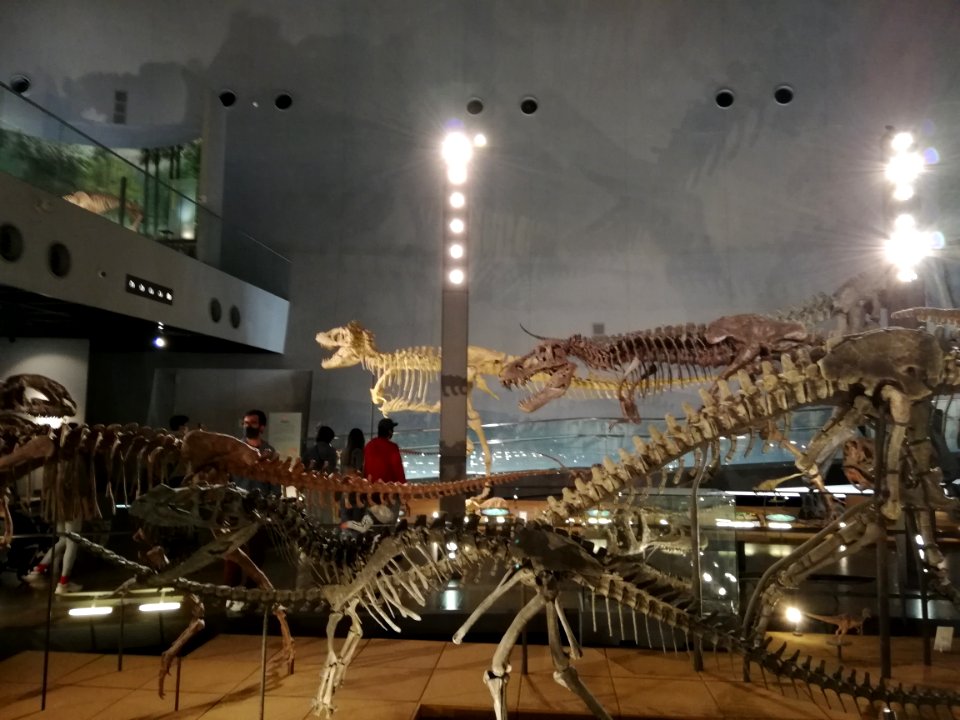 Fukui Prefectural Dinosaur Museum 20210504 06