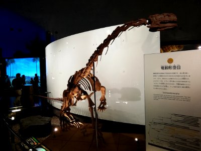 Fukui Prefectural Dinosaur Museum 20210504 09