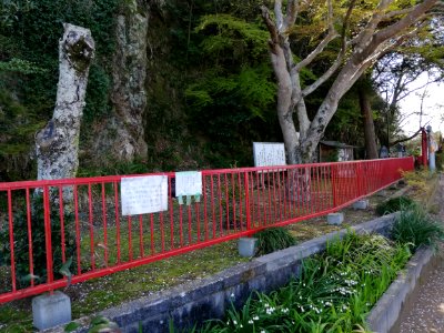 Fujigasaki Dragon Shrine Naikū 20210407 02