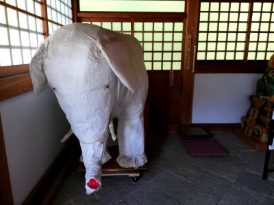 Fukujusan Jigen-ji Temple 20210523 24