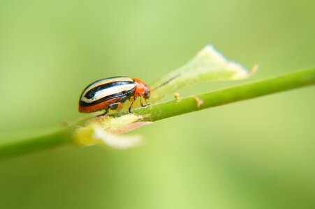 Biology nature el salvador