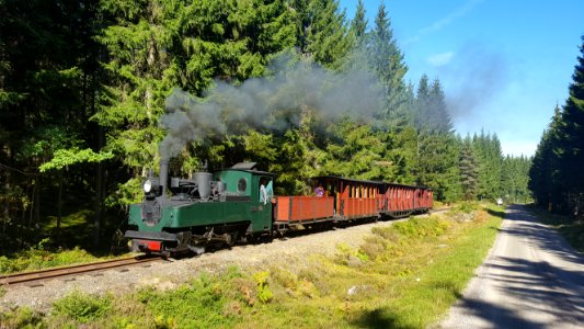 Ohsabanan forest train2