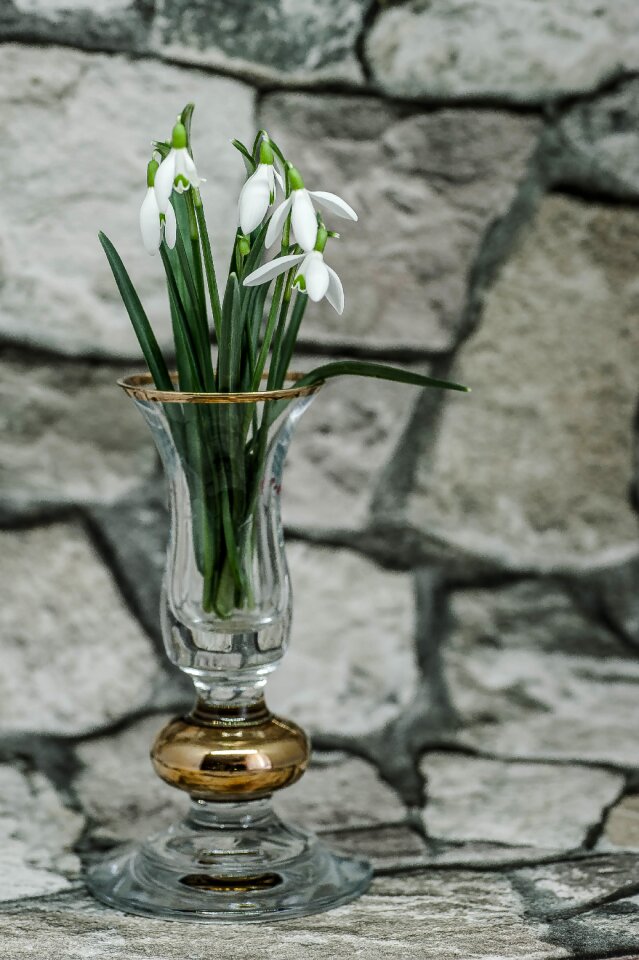Vase spring flowers
