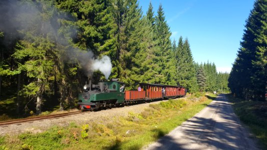 Ohsabanan forest train