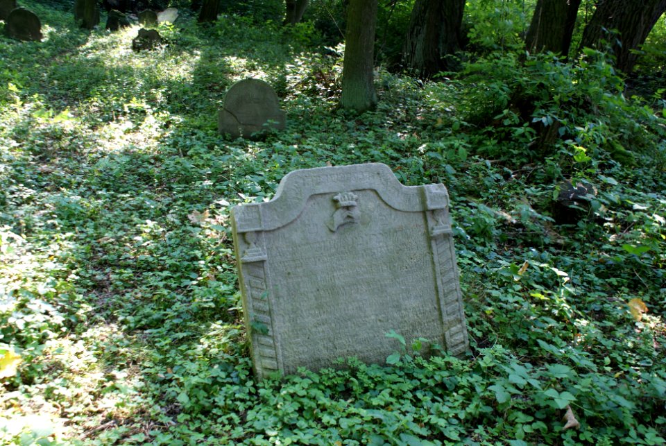 Old Jewish cemetery in Hostouň 06