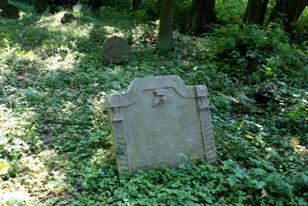 Old Jewish cemetery in Hostouň 06