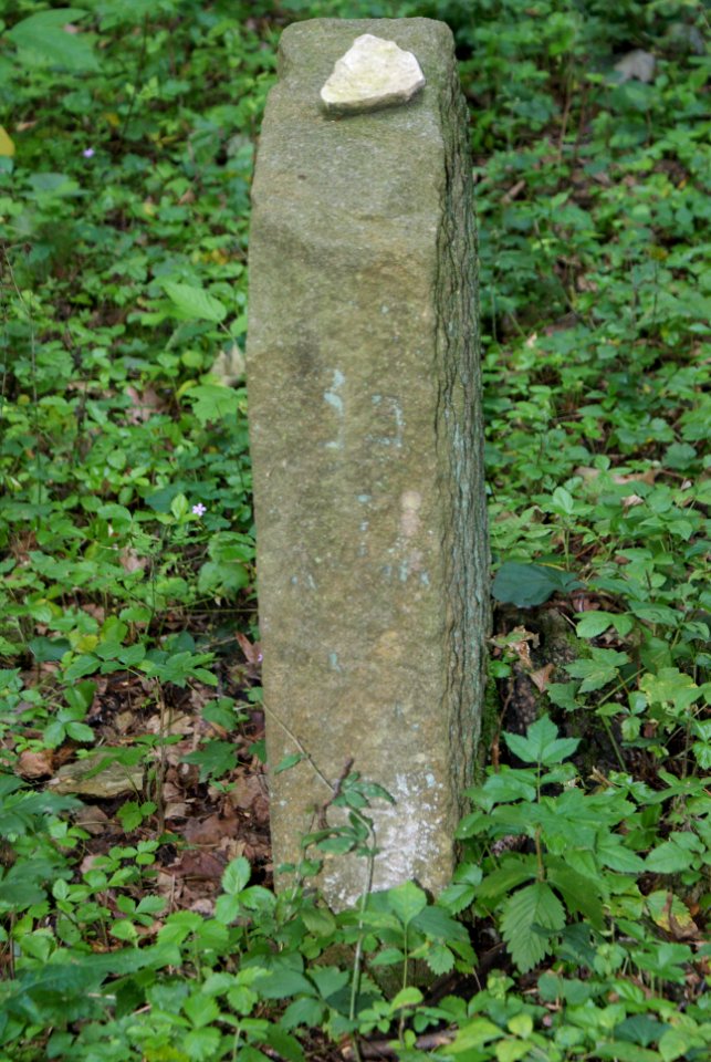 Old Jewish cemetery in Hostouň 09