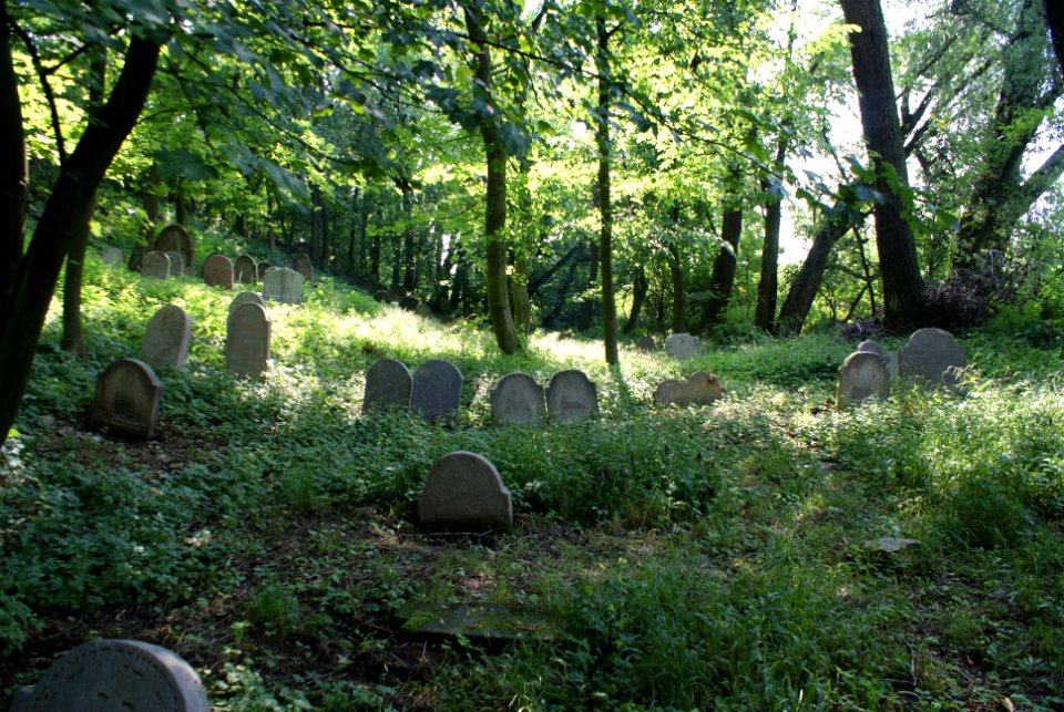 Old Jewish cemetery in Hostouň 07
