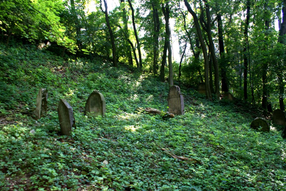 Old Jewish cemetery in Hostouň 14