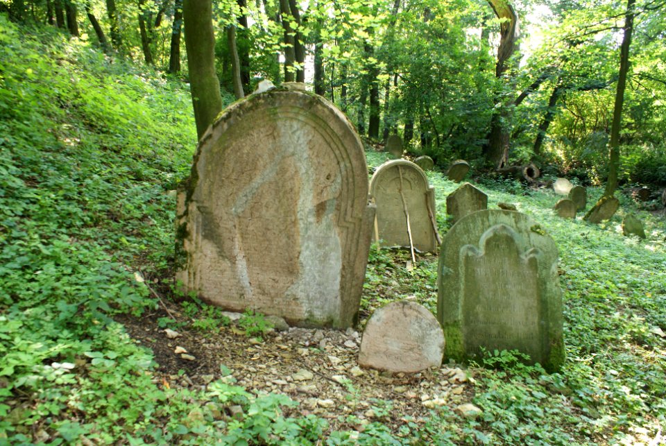 Old Jewish cemetery in Hostouň 15