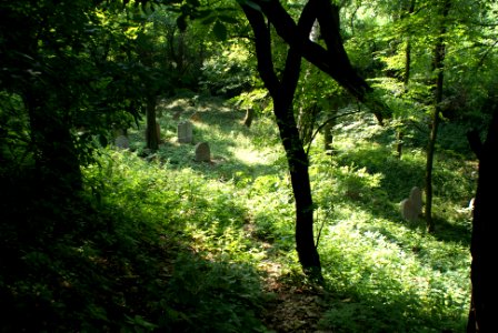 Old Jewish cemetery in Hostouň 01