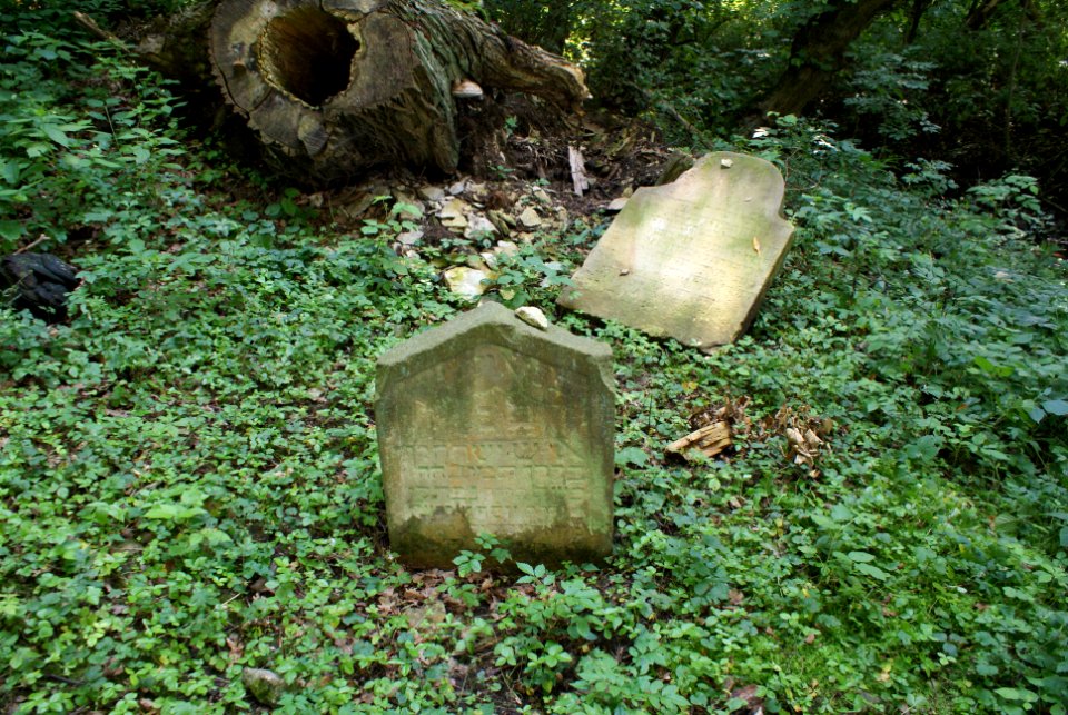 Old Jewish cemetery in Hostouň 10