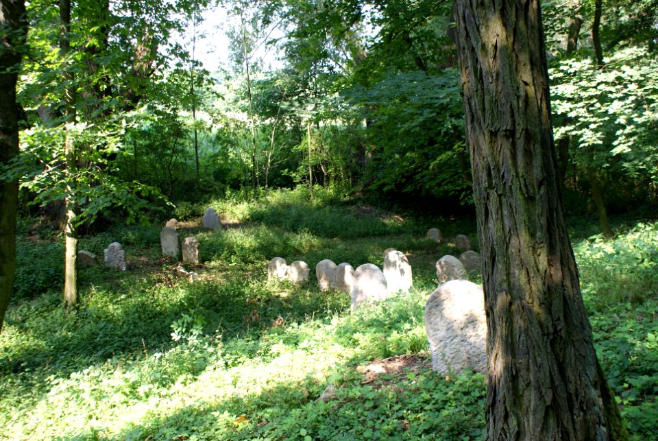 Old Jewish cemetery in Hostouň 16