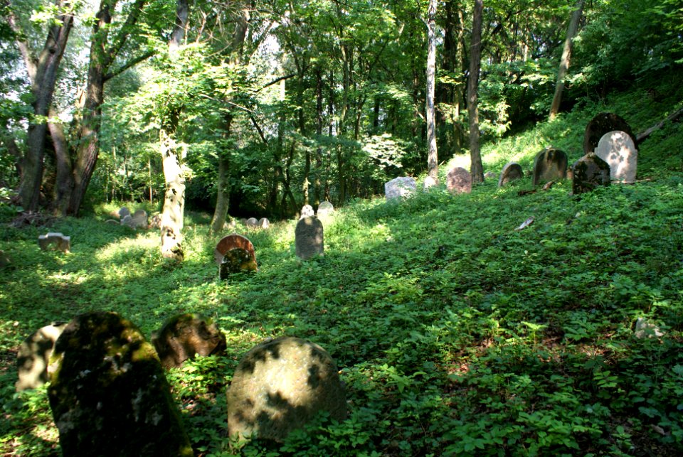 Old Jewish cemetery in Hostouň 12