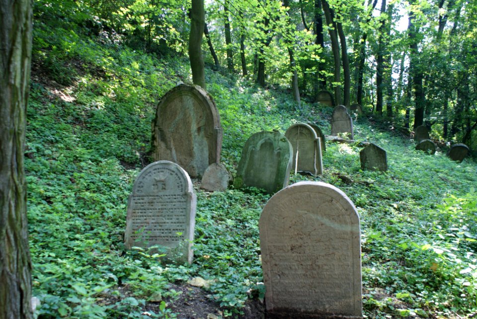 Old Jewish cemetery in Hostouň 05