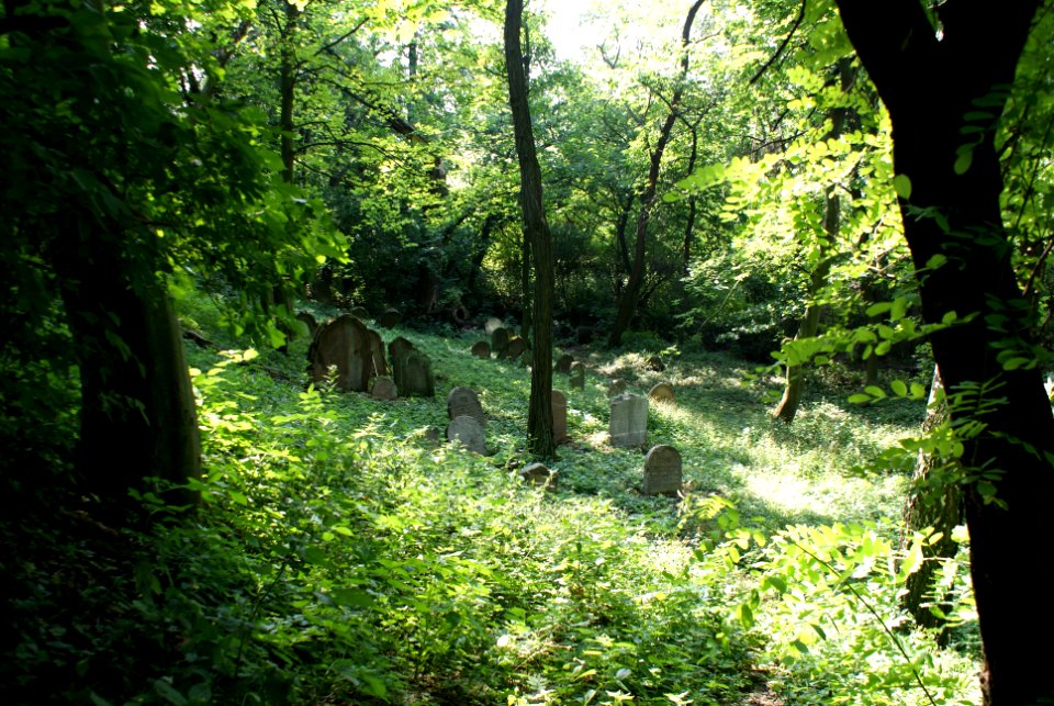 Old Jewish cemetery in Hostouň 02