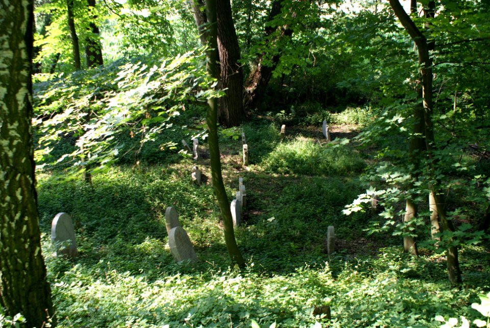 Old Jewish cemetery in Hostouň 04