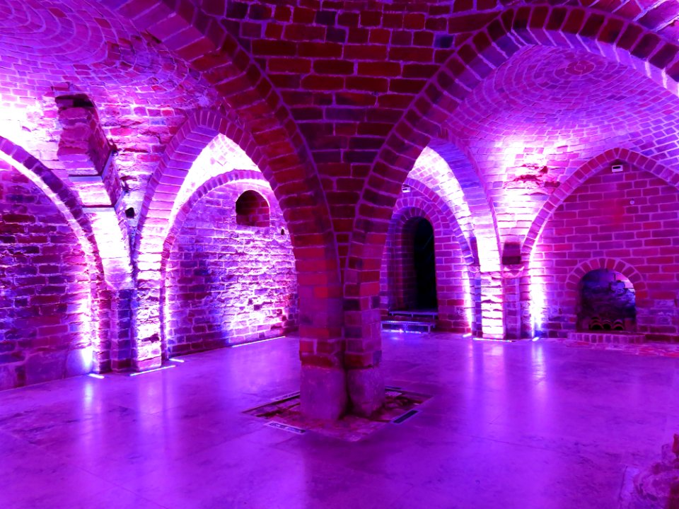 Gdańsk Piwnica Romańska 007