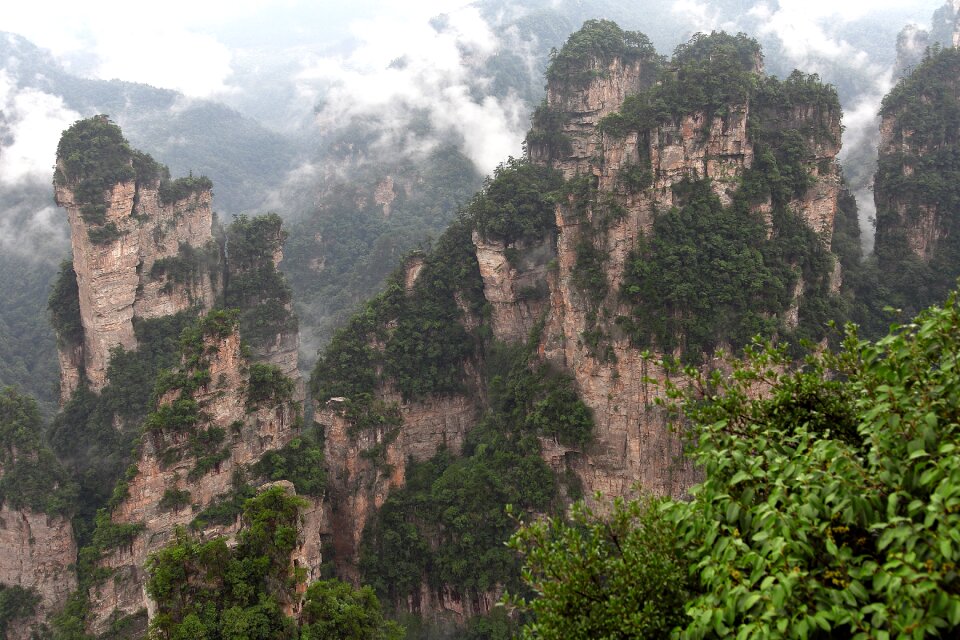 Zhangjiajie wulingyuan quartz sandstone peak woodland landscape