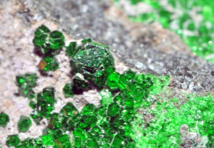 Garnet 16
