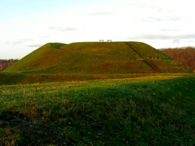 Gdańsk bastion Żubr 010