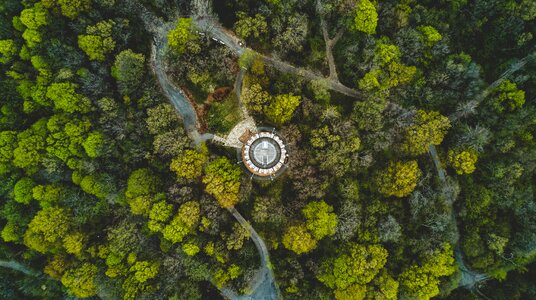 Nature forest aerial photo